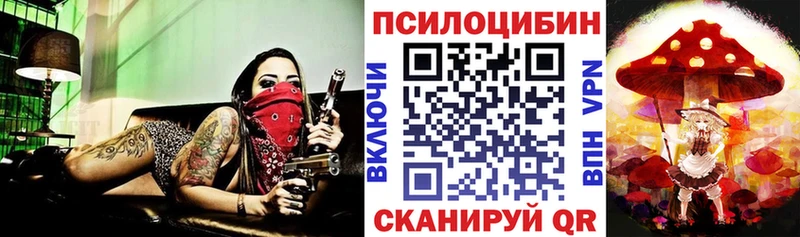 Галлюциногенные грибы Psilocybe  ссылка на мегу как зайти  shop наркотические препараты  магазин продажи наркотиков  Белёв 